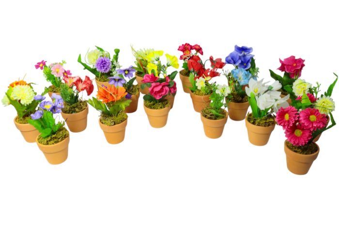 Flor en Maceta Pequeña - Imagen 1