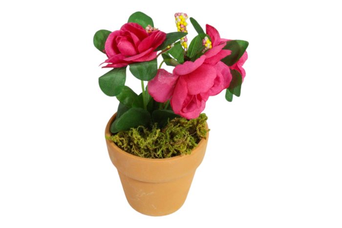 Flor en Maceta Pequeña - Imagen 30