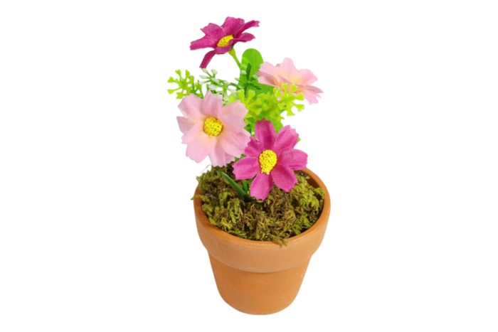 Flor en Maceta Pequeña - Imagen 32