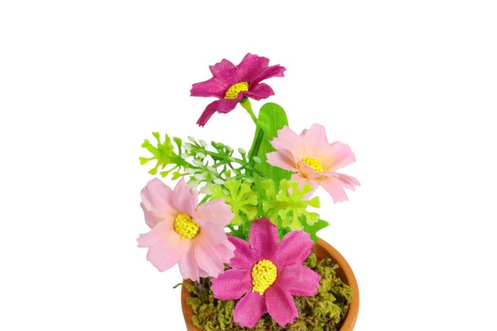 Flor en Maceta Pequeña - Imagen 33