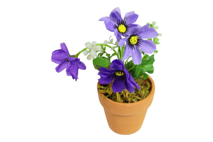 Flor en Maceta Pequeña - Imagen 34