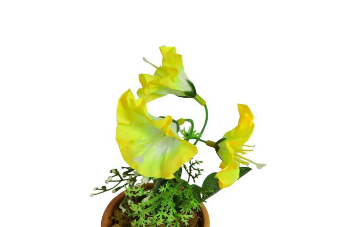 Flor en Maceta Pequeña - Imagen 37