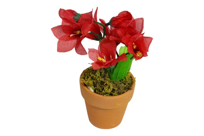 Flor en Maceta Pequeña - Imagen 38