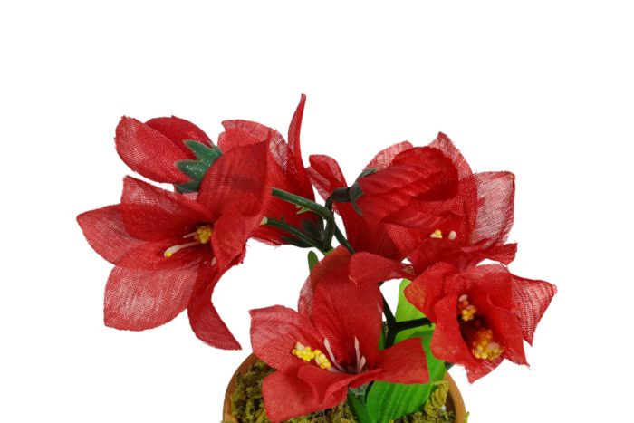 Flor en Maceta Pequeña - Imagen 39