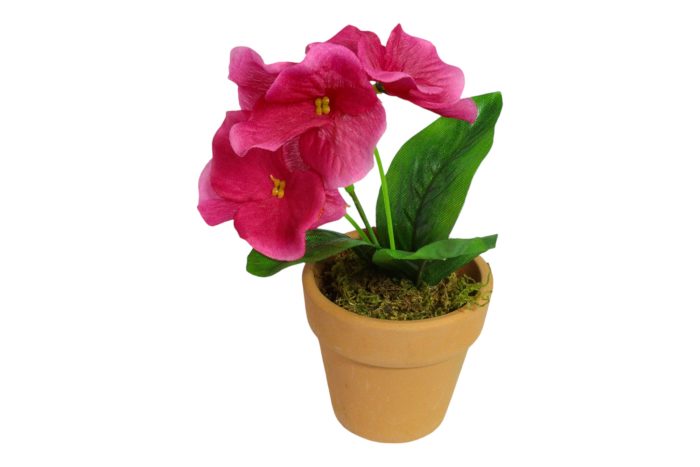 Flor en Maceta Pequeña - Imagen 2