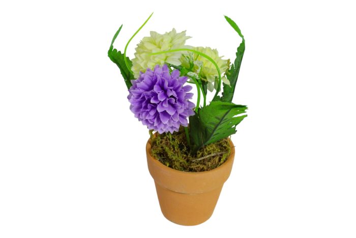 Flor en Maceta Pequeña - Imagen 4