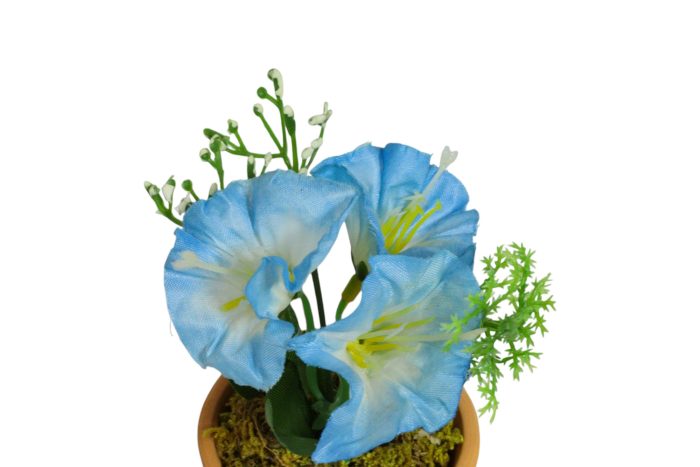 Flor en Maceta Pequeña - Imagen 7