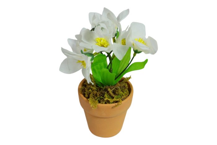 Flor en Maceta Pequeña - Imagen 8