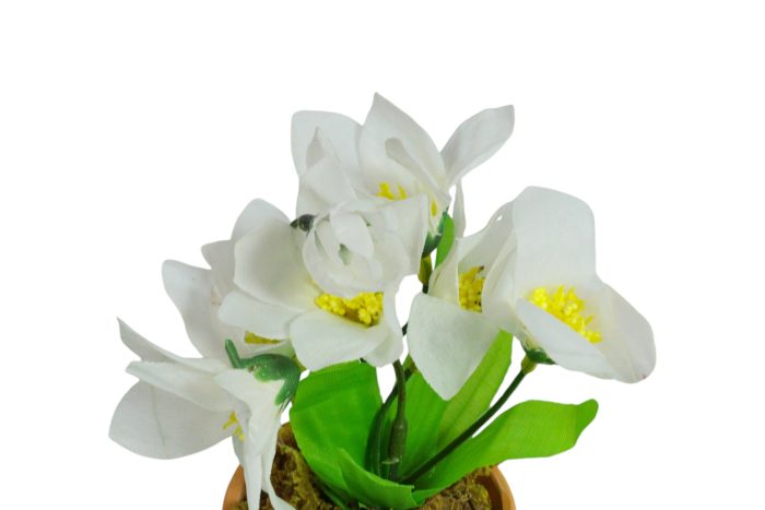 Flor en Maceta Pequeña - Imagen 9