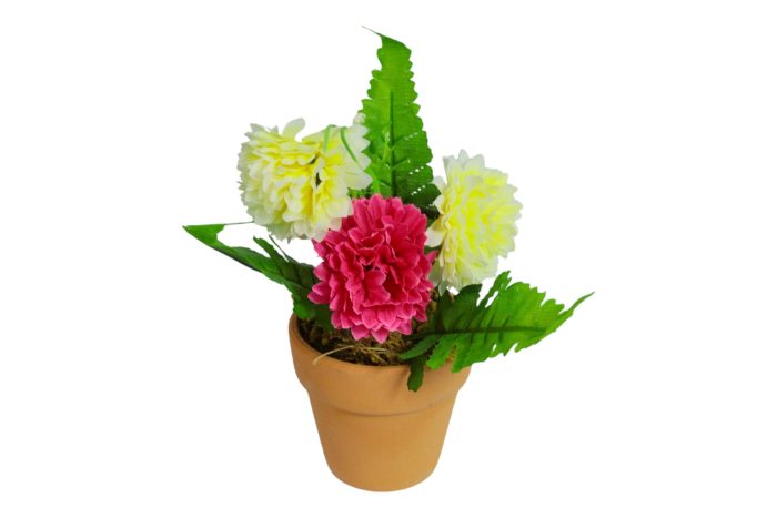 Flor en Maceta Pequeña - Imagen 10