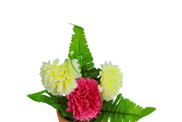 Flor en Maceta Pequeña - Imagen 11