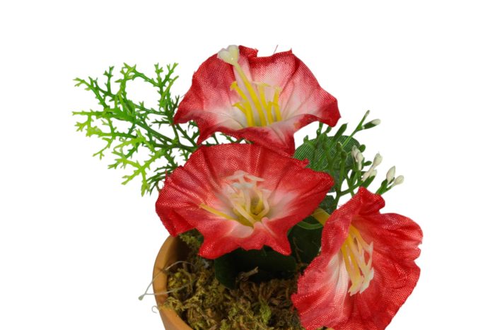 Flor en Maceta Pequeña - Imagen 13