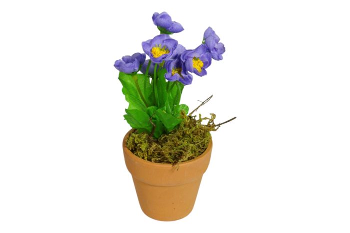 Flor en Maceta Pequeña - Imagen 14