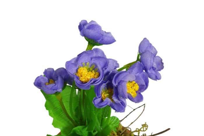 Flor en Maceta Pequeña - Imagen 15