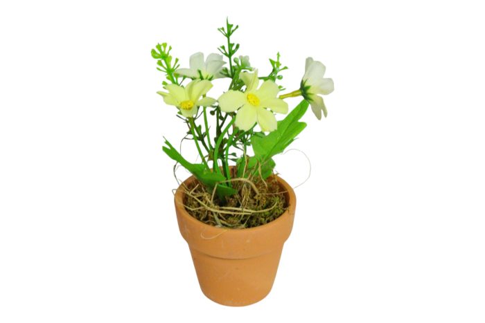 Flor en Maceta Pequeña - Imagen 16