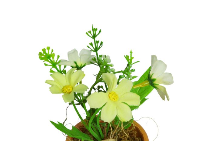 Flor en Maceta Pequeña - Imagen 17