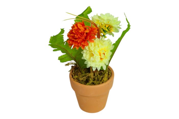 Flor en Maceta Pequeña - Imagen 18