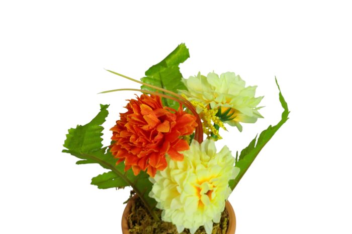 Flor en Maceta Pequeña - Imagen 19