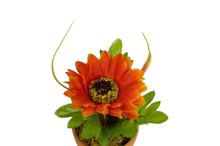 Flor en Maceta Pequeña - Imagen 21