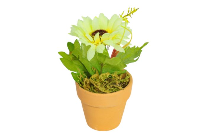 Flor en Maceta Pequeña - Imagen 22