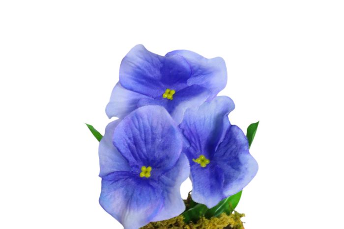 Flor en Maceta Pequeña - Imagen 25