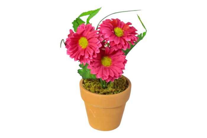 Flor en Maceta Pequeña - Imagen 26