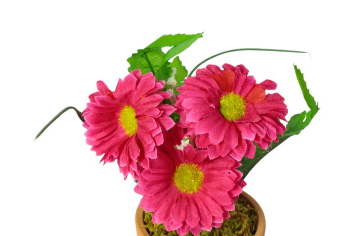 Flor en Maceta Pequeña - Imagen 27