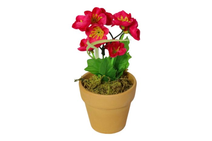 Flor en Maceta Pequeña - Imagen 28