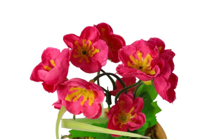 Flor en Maceta Pequeña - Imagen 29