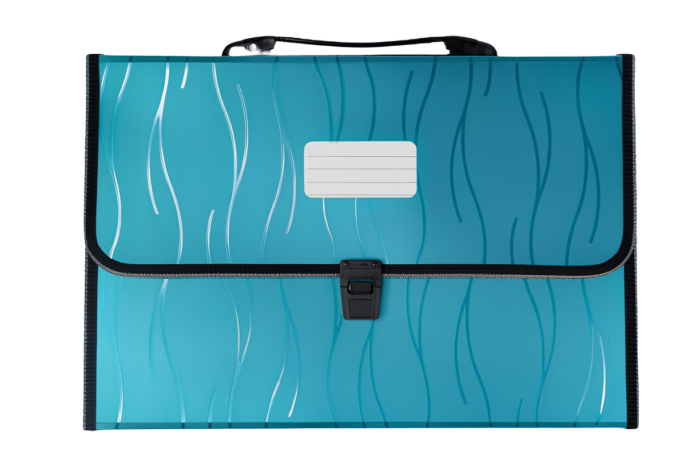 977189-2-removebg-preview Maletin De plastico A4 - Imagen 7