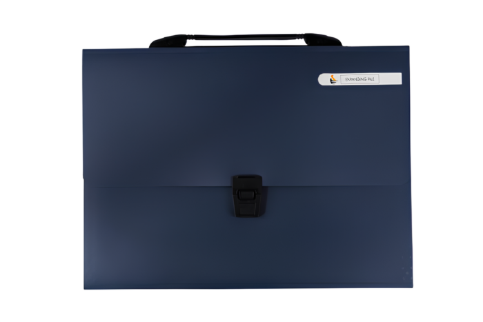 Carpetas forma maletín con hebilla de plástico - Imagen 6