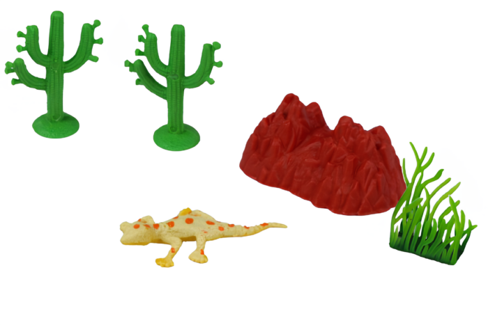 Caja con diversos reptiles - Imagen 3