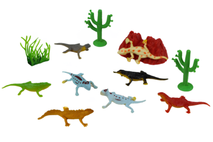 Caja con diversos reptiles