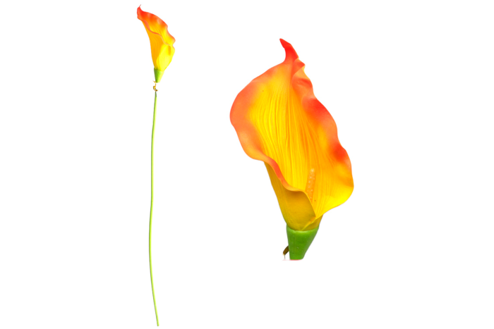 860559-1 Cala Artificial Unidad - Imagen 3