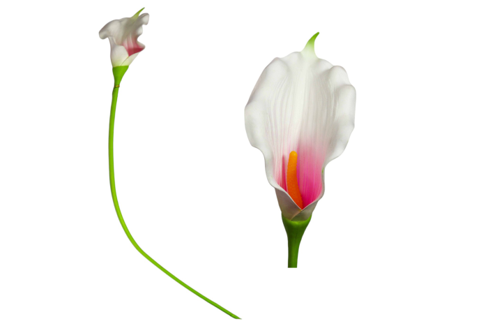 860559-2 Cala Artificial Unidad - Imagen 4