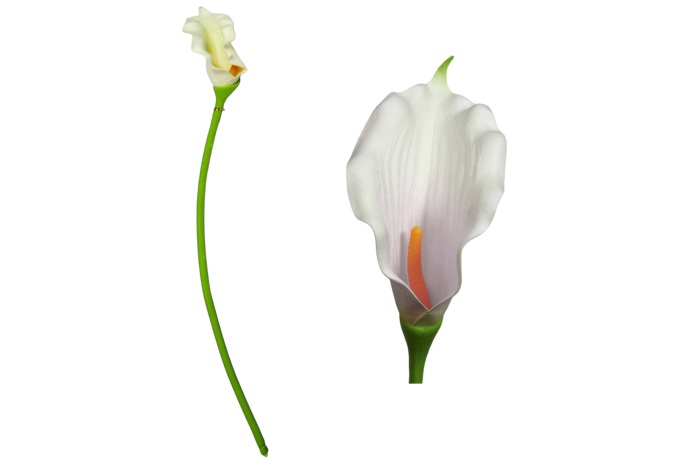 860559-3 Cala Artificial Unidad - Imagen 5