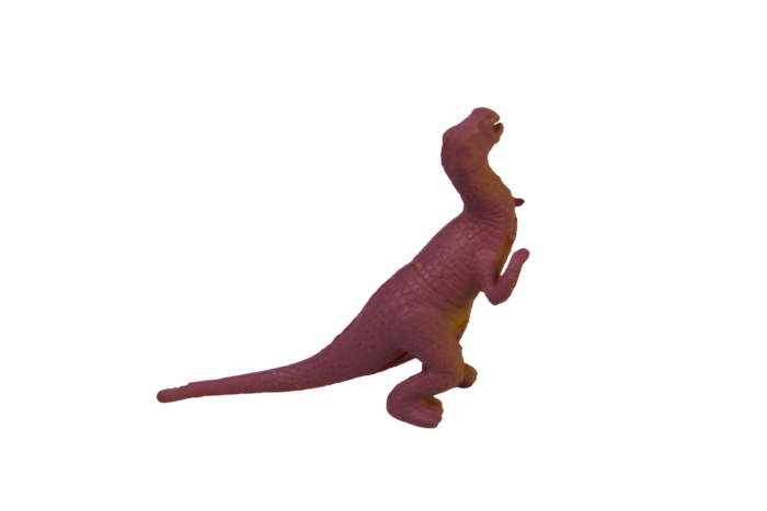 bbc9cf4e-7d17-459d-82ad-31bf4bed3e05.png Bolsa de set con 8 dinosaurios - Imagen 16