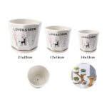 Juego de 3 macetas de cerámica modelo TX67322 - Imagen 2