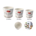 Juego de 3 macetas de cerámica modelo TX67208 - Imagen 2