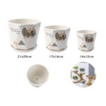 Juego de 3 macetas de cerámica modelo TX67338 - Imagen 2