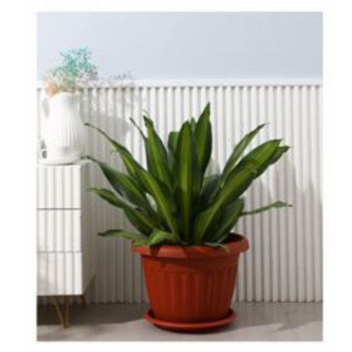 Maceta plastico 31 x 23.6 cm - Imagen 3