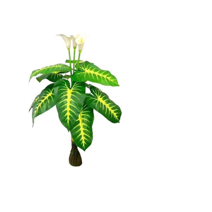 Hoja Oreja De Elefante 110Cm Con Fondo - Imagen 1