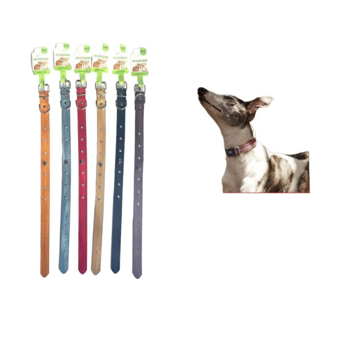 62336720 Correa Calavera Para Perros Y Gatos 2.5 - Imagen 1