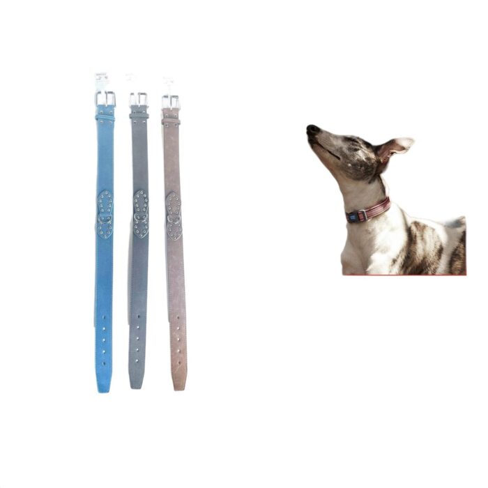 Collar Para Mascotas 4,0*68 - Imagen 1