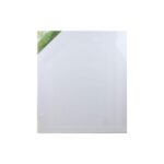 blank