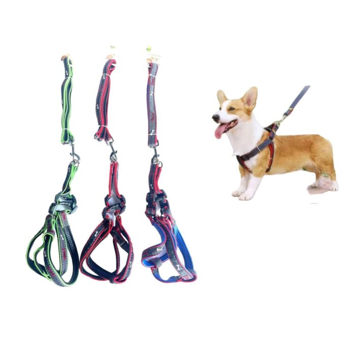 Pecho Y Espalda De Espuma De 1,5 Huellas - Imagen 1