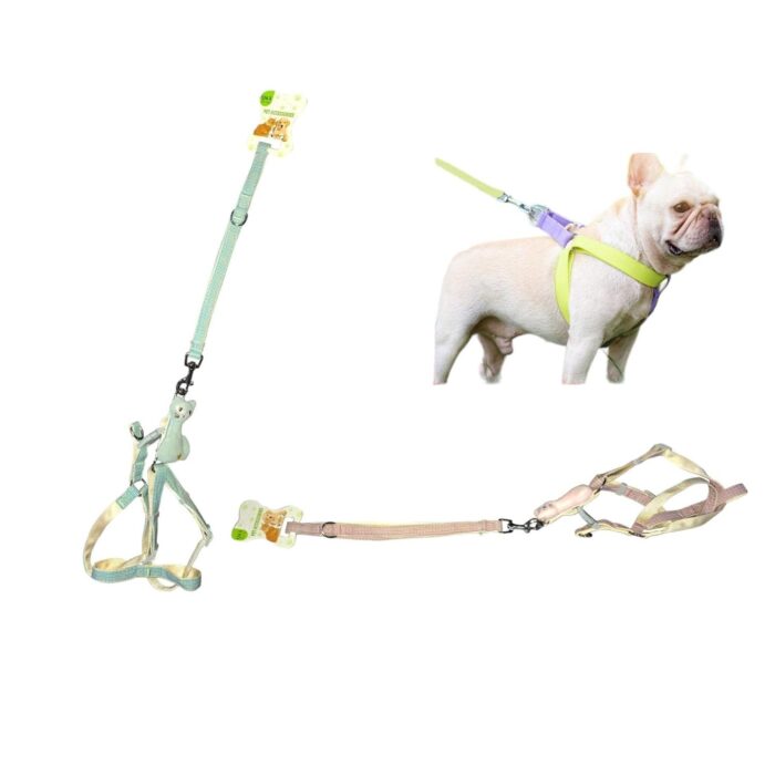 62331302 Arn¨¦s Para Mascotas De Dibujos Animados A6073-1.5Cm - Imagen 1