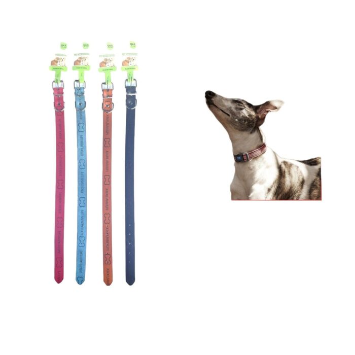 62336684 Correa Para Perros Y Gatos 2.5 - Imagen 1