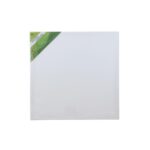 blank