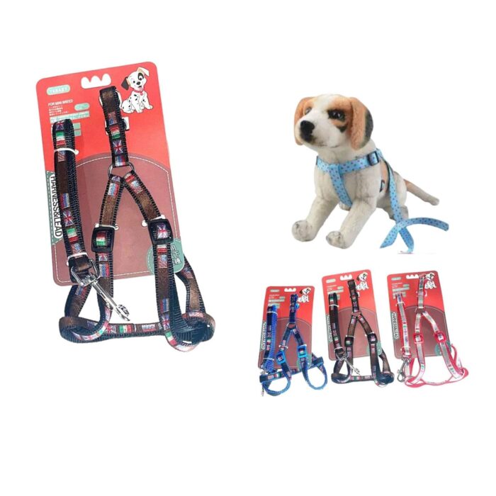 Arn¨¦s De Correa Four Flags 1.5 - Imagen 1